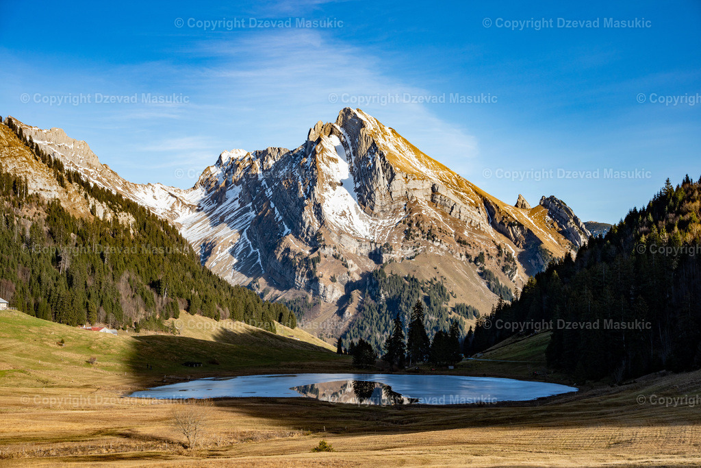 Gräppelensee | Ich fotografiere Landschaften, Produkte und erstelle für Sie Firmenportraits. Engagieren Sie mich für den nächsten Projekt. - Realisiert mit Pictrs.com
