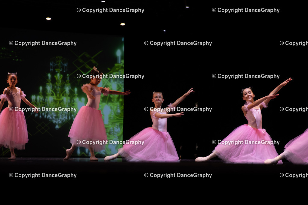 GPHY5678 | DanceGraphy - Realisiert mit Pictrs.com