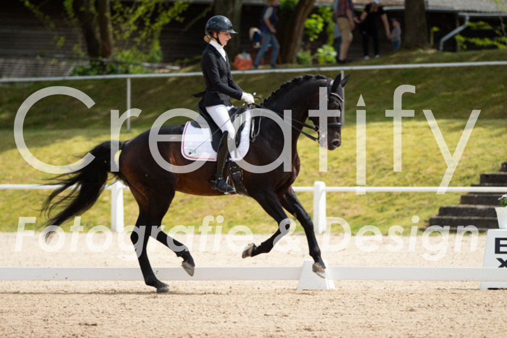 IMG_6538 | Creatify Fotografie