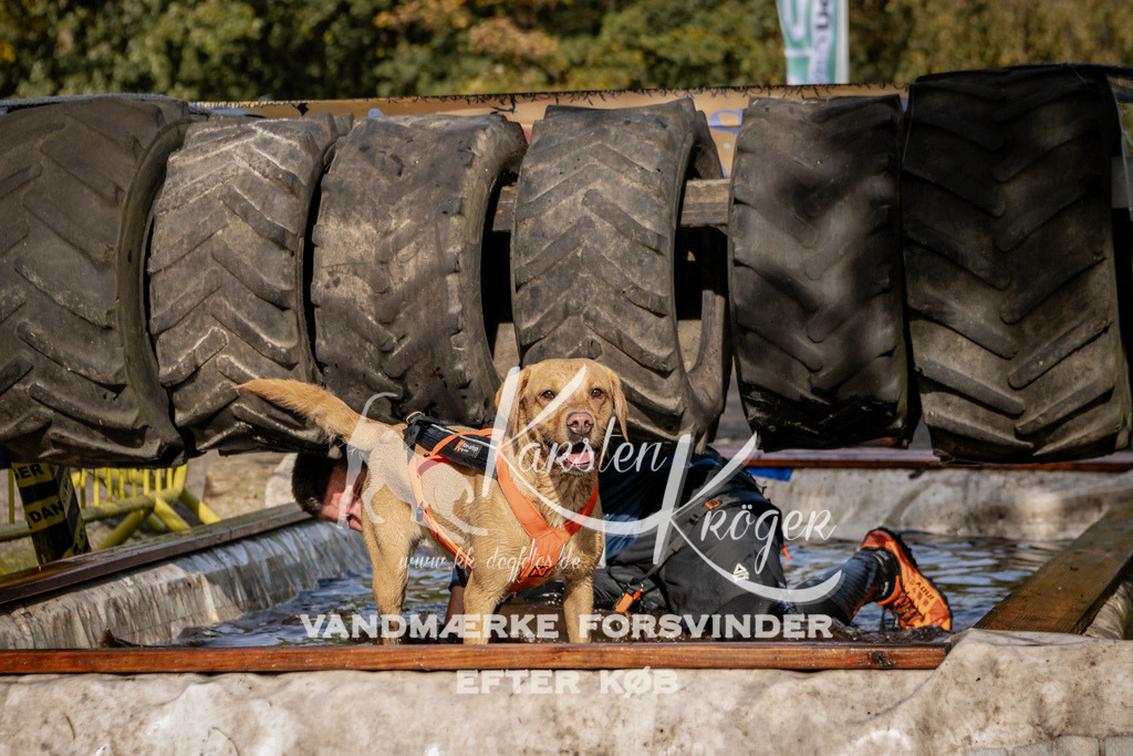 1311_ZZ92147 | kk-dogfotos