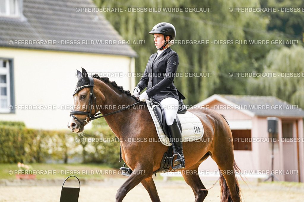 DSC01031 | Pferdegrafie