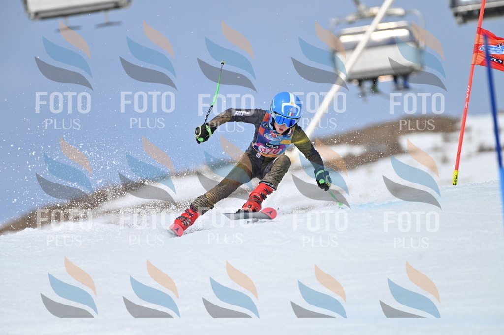 BGV_4101 | holidayphoto