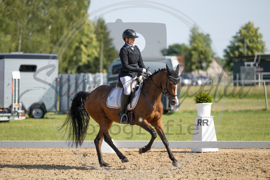 994A4412 | sabrinanicolaifotografie - Realisiert mit Pictrs.com