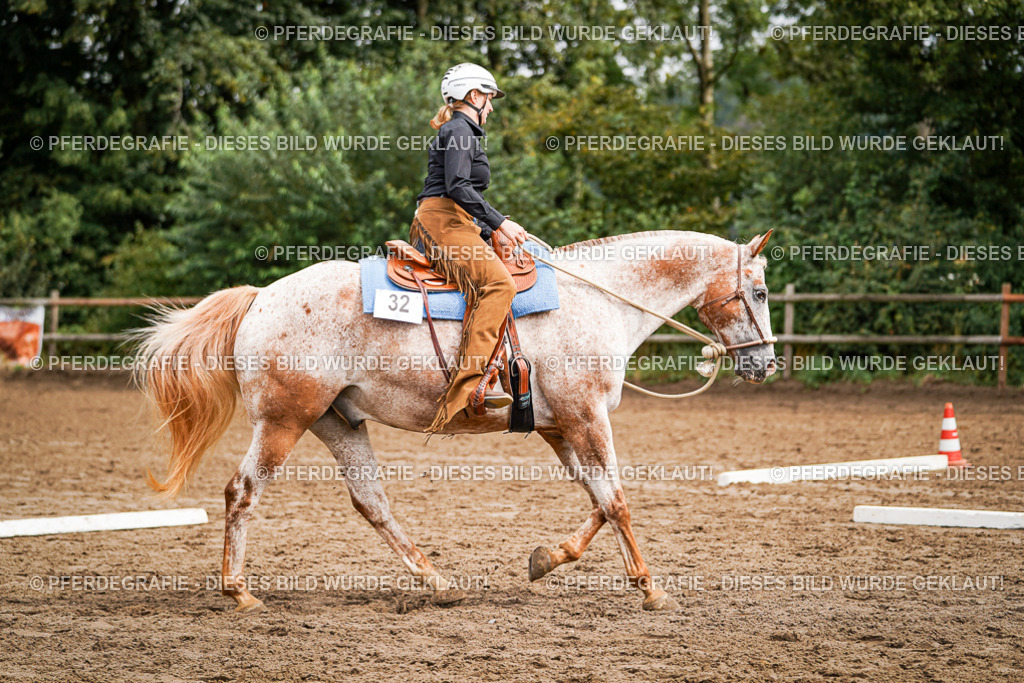 DSC04149 | Pferdegrafie