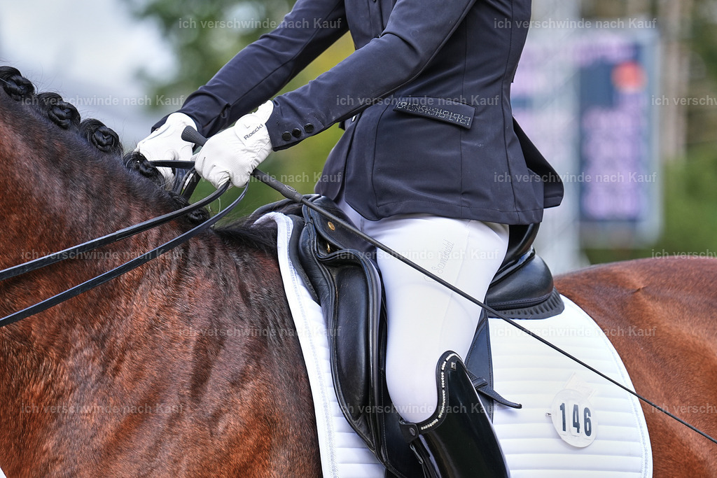 05-146-DRESSUR M_  -Marixx-4983 | working equitationturnier fotograf videograf stoibphotography marixx film working equitation deutschland reitsport turnierfotografie eventfotografie equestrian events