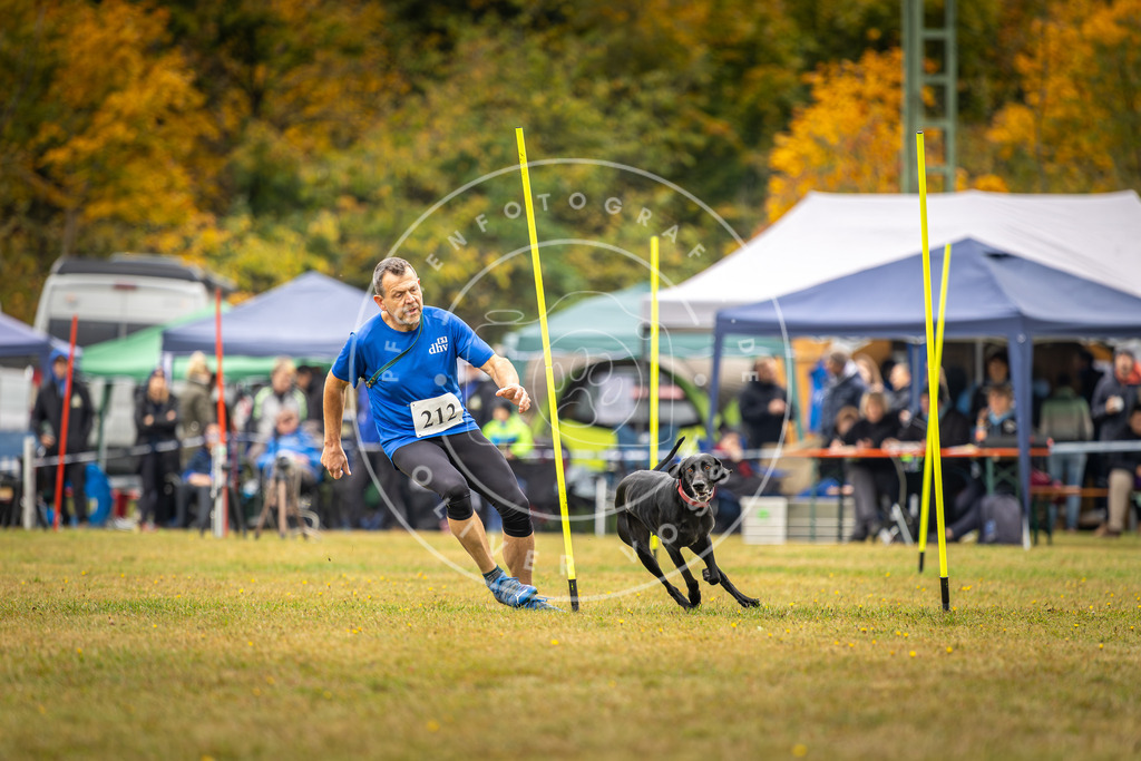 Pfotenfotografie_DV3A2405 | Hundefotografie, Tierfotograf, Pfotenfotografie, Fotoshooting Hund, Hunde Portrait, Hundesport, Hundeportraits, Heideshooting, Hunde, Sportfotograf, Hundefotograf, Turnierhundsport, THS,  - Realisiert mit Pictrs.com