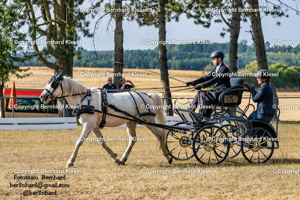 2A901641 | foto-team-bernhard - Realisiert mit Pictrs.com