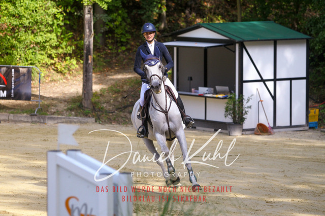 DKP42353 | Turniersportfotografie; Pferdefotografie; Dressurfotografie