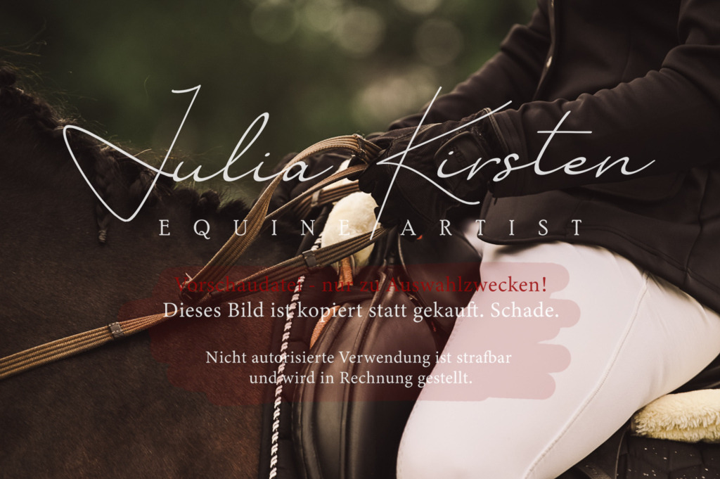 DSC_5036 | Pferde- und Turnierfotografie in Westsachsen. Pferdeportraits, Auftragszeichnungen und intuitive Kunst.