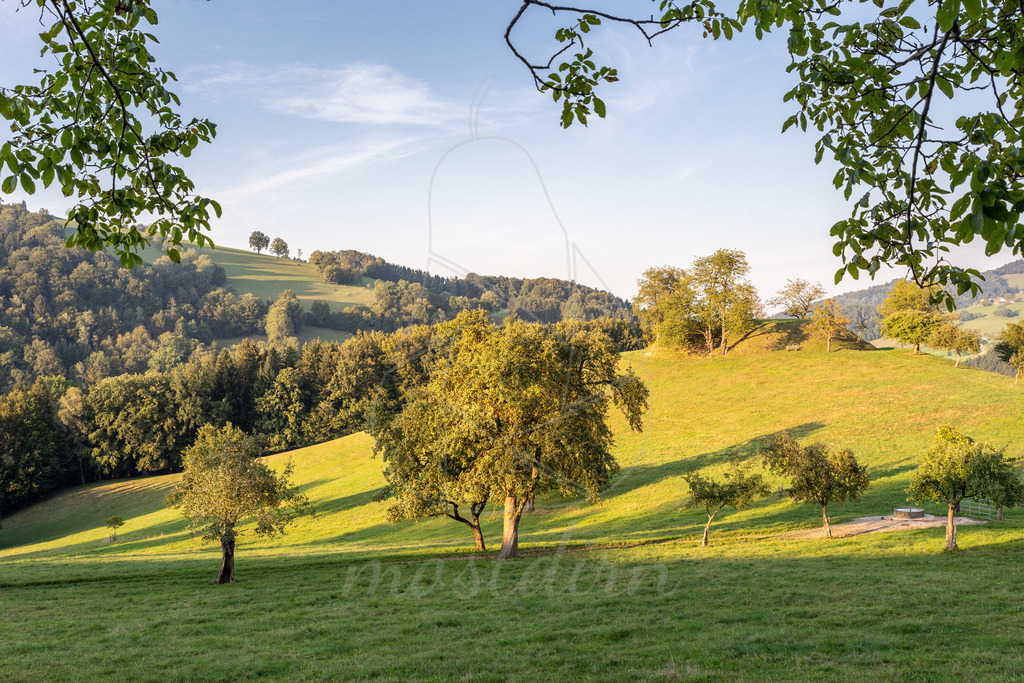 Sommer am Tabor in Randegg | Ihre Fotografin im Lungau, ihre Fotografin im Mostviertel, Wandbilder Onlineshop, Imagefotos für Ihr Unternehmen,  - Realisiert mit Pictrs.com