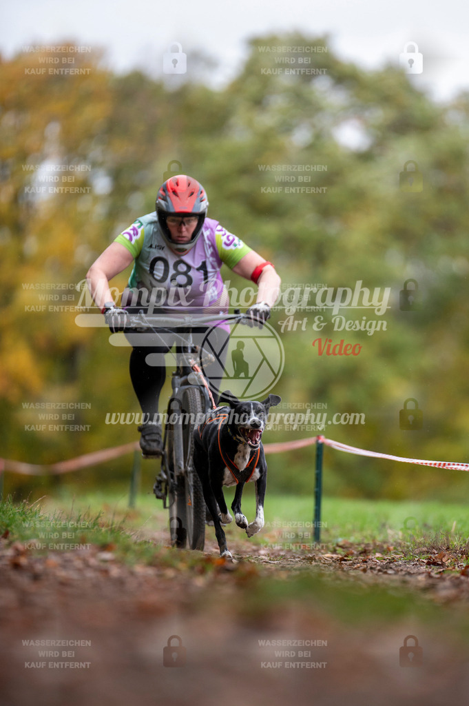 DBT_DAKM_SA_4_11_2023_Bike-30 | PayLife