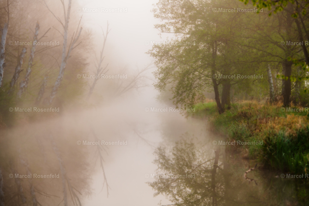 _DSC3013 | foto-rosenfeld