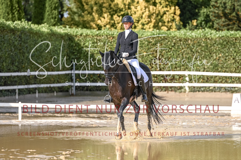 Schugtsche-Aluta25-54.Dressurprf.L1Trense-191 | Schugtsche Fotografie - Realisiert mit Pictrs.com