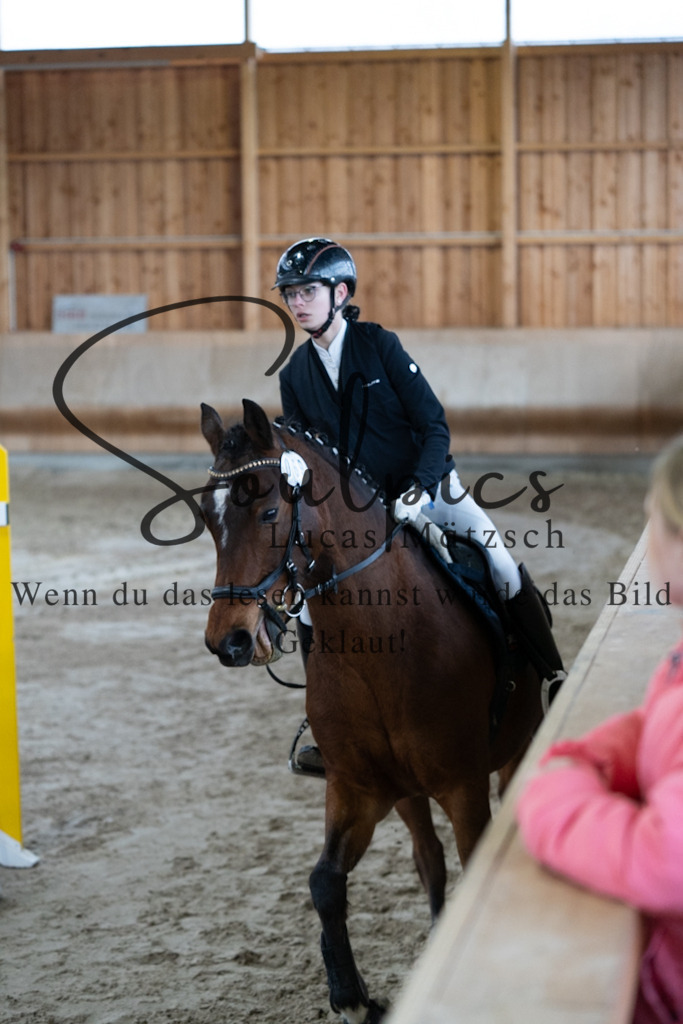 A7V00611 | Pferdefotograf