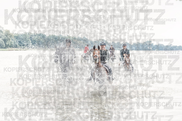 Jagd Perdoel_MarinaHewigDSCF3704 | Fotografie, FotoArt, PferdesportArt, Pferdesportfotografie, Landschaftsfotografie, Reisefotografie, Reise, Pferde - Realisiert mit Pictrs.com