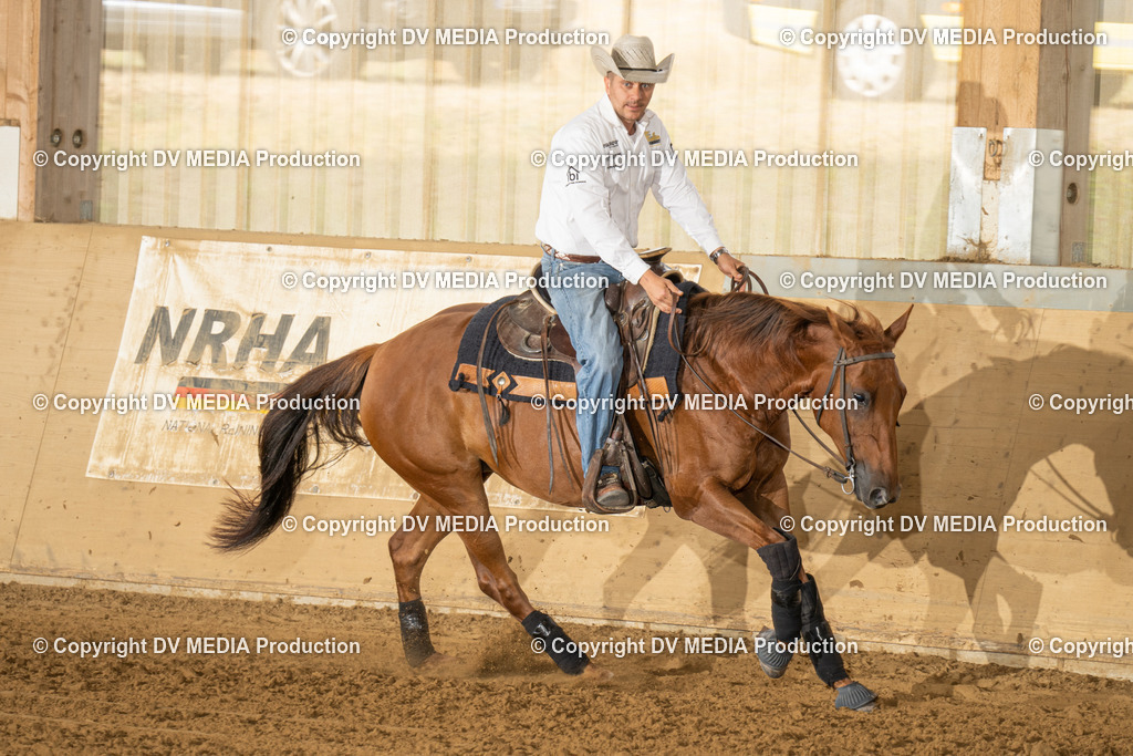 LAU01485 | dv-media-shop - Realisiert mit Pictrs.com