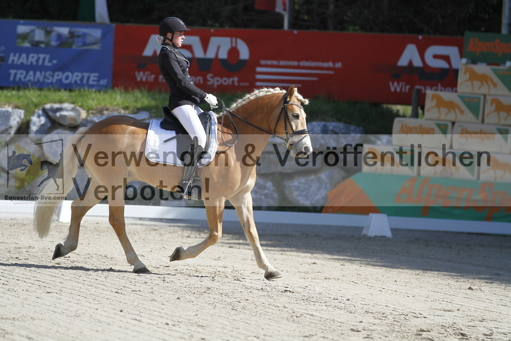 _MG_6483 | equestrian-live-com