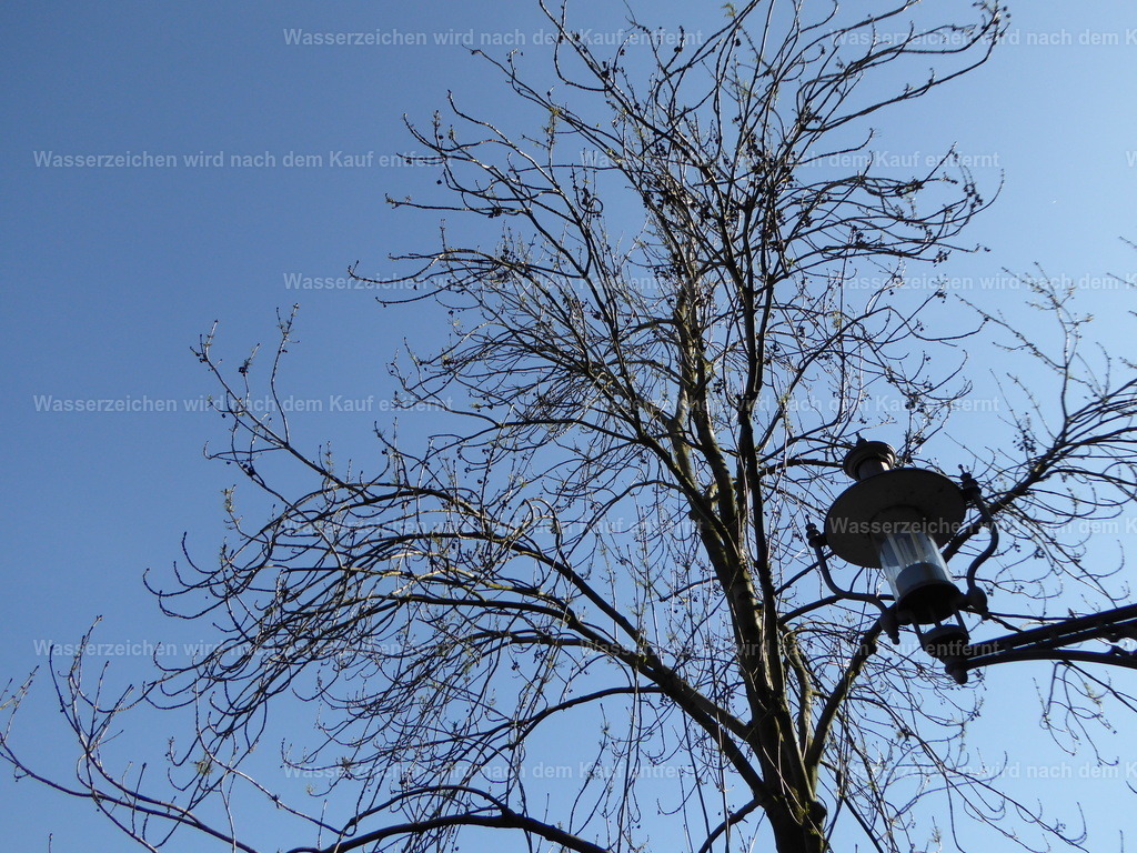 P1010928 | Entdecken Sie die faszinierende Welt von Norbert Michels: Surreale Kunstwerke, hochwertige Fotos, Leinwandbilder & Fotoprodukte wie Tassen mit bild7 - Realisiert mit Pictrs.com