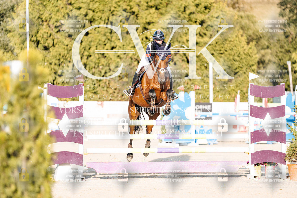 CK900670 | Turnierfotografie Pferdefotografie Trier Rheinland-Pfalz Pferdesport Reitsport Tierfotografie Sportfotografie Pferdevideo Pferdevideografie Equestrianvideography equestrianphotography  - Realisiert mit Pictrs.com