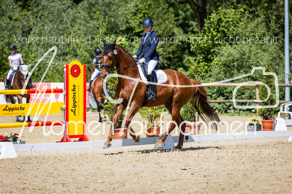 Donop24-L-Dre-116 | MomenTaufnahmen Pferdesportfotos