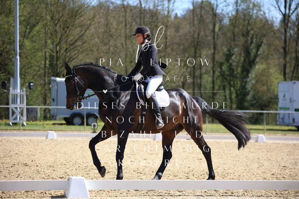 IMGT8153 | pl-fotografie