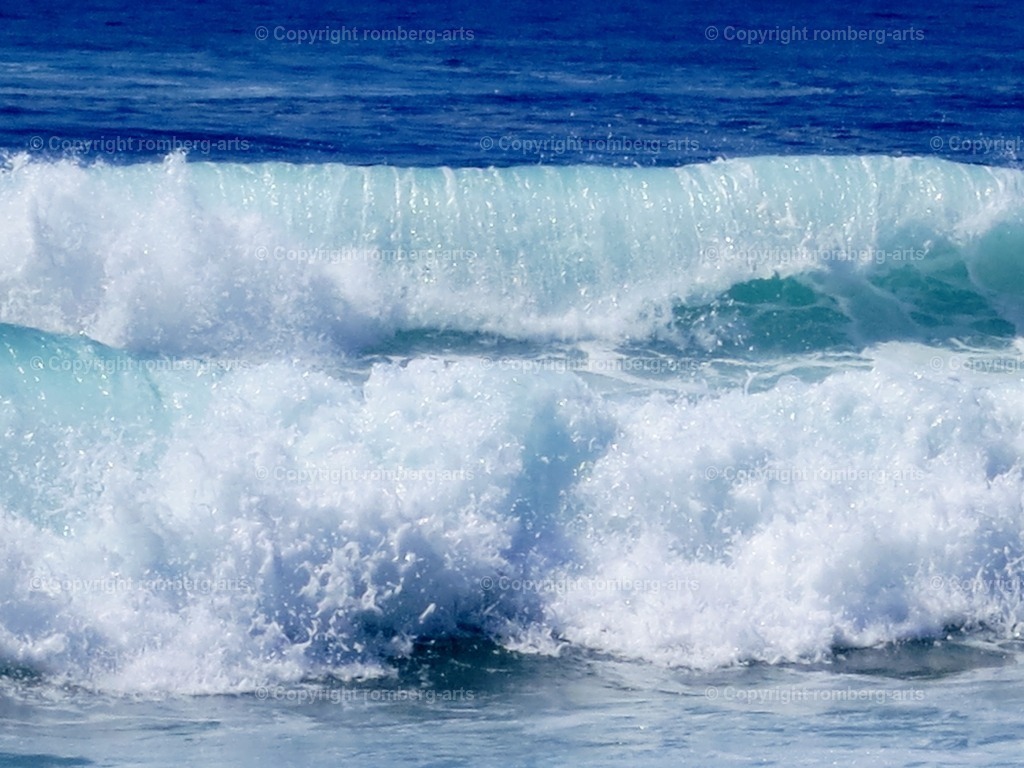 IMG_6329 | romberg-arts, romberg-arts.de, www.romberg-arts.de, Foto_Online_Shop, Julia Fuhrmann, Köln, Fotos, Fotografie, Fotokunst, Kunstdrucke, Naturfotos, Aktfotos, Nacktfotos, schwarz_weiß_Fotos, Blumenfotos, Blumen, Tiere, Beton, Korrosion, Lächeln, Drucke