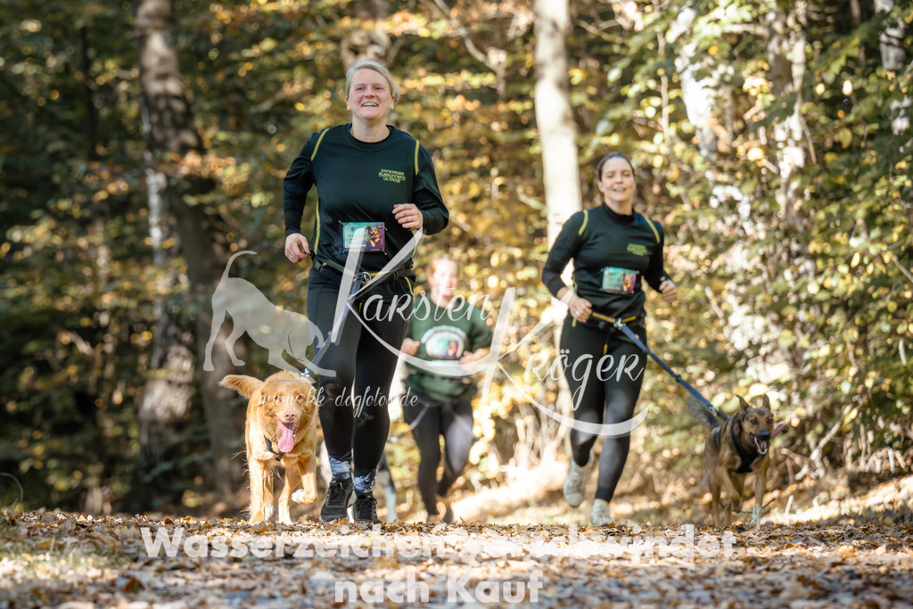 1205_ZZ94157 | kk-dogfotos