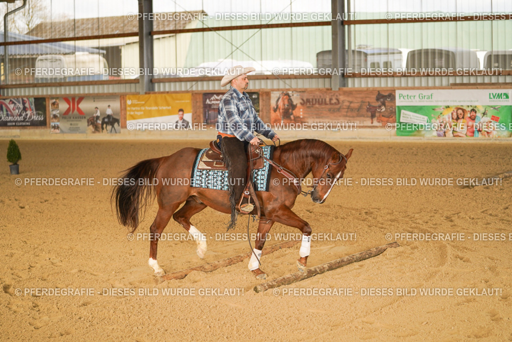 DSC01712 | Pferdegrafie