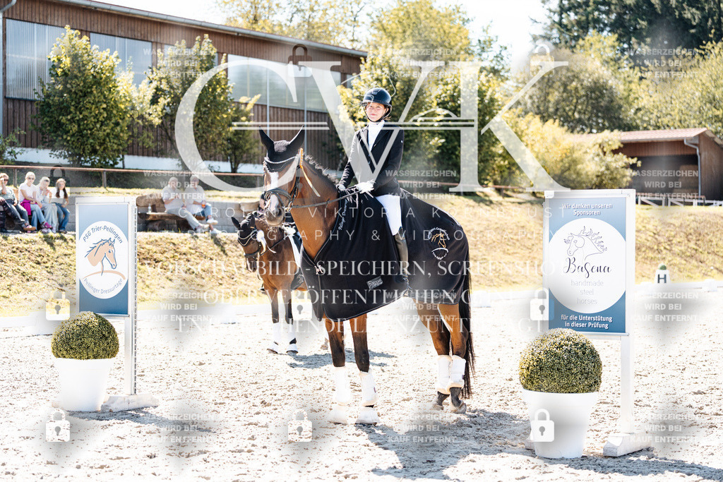CK909972 | Turnierfotografie Pferdefotografie Trier Rheinland-Pfalz Pferdesport Reitsport Tierfotografie Sportfotografie Pferdevideo Pferdevideografie Equestrianvideography equestrianphotography  - Realisiert mit Pictrs.com