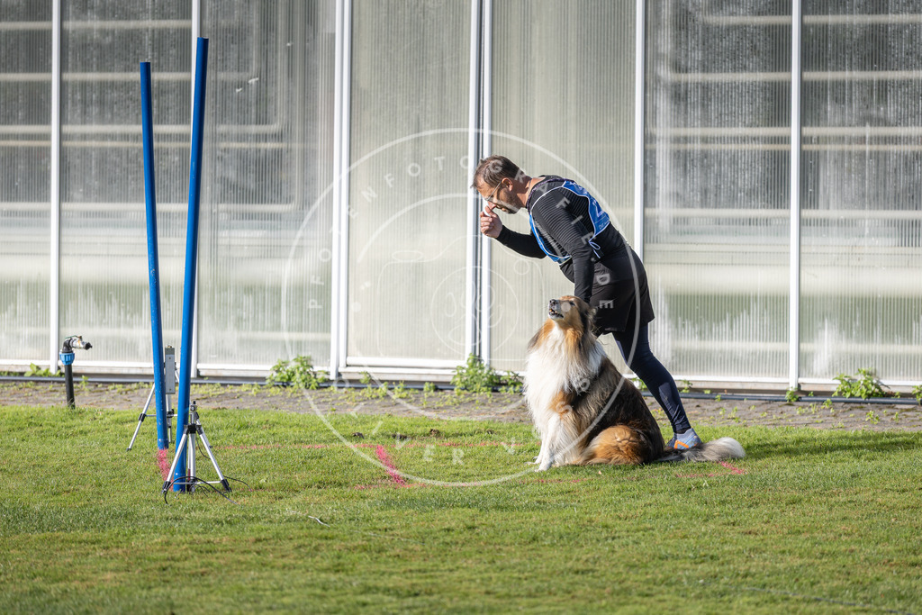 Pfotenfotografie.de_DV3A3247 | Hundefotografie, Tierfotograf, Pfotenfotografie, Fotoshooting Hund, Hunde Portrait, Hundesport, Hundeportraits, Heideshooting, Hunde, Sportfotograf, Hundefotograf, Turnierhundsport, THS, canicross - Realisiert mit Pictrs.com