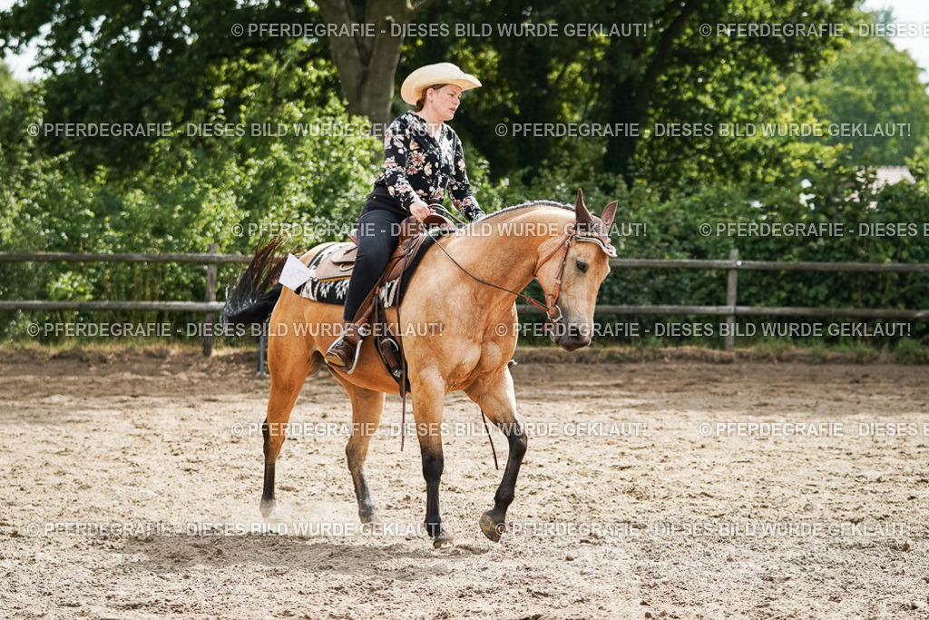 DSC04207 | Pferdegrafie