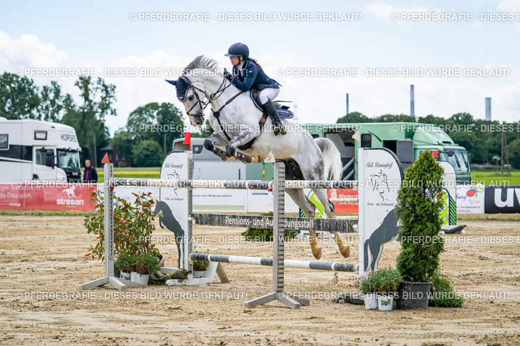 DSC05358 | Pferdegrafie