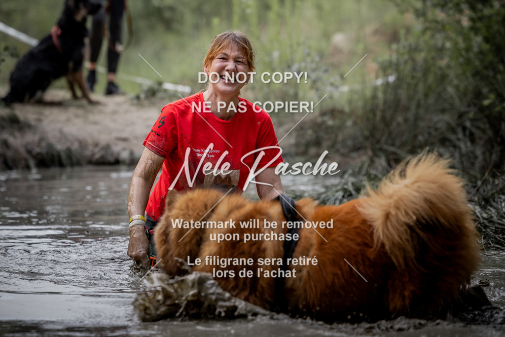 nelerasche_so0800-0930_316 | nelerasche