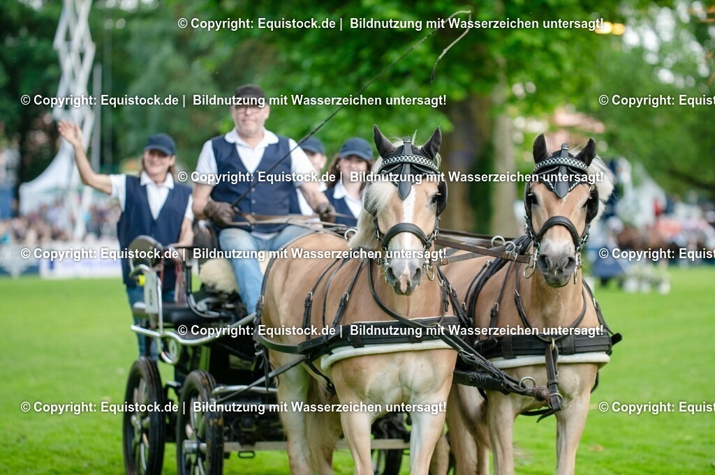 20250606_Lange-Pferdenacht_0072-2 | Foto: Thomas Hartig