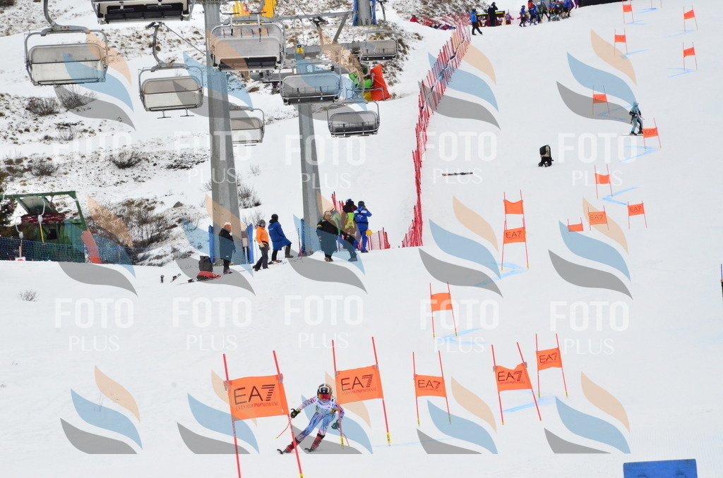 _ELE3592 | holidayphoto