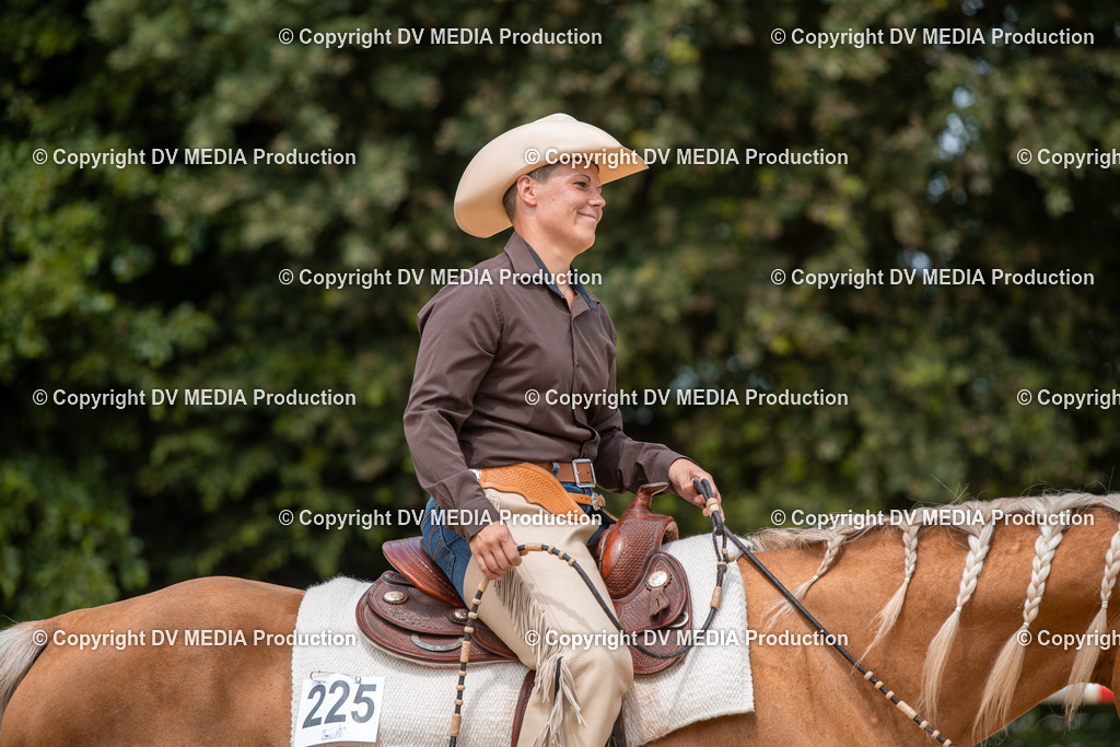 EWP_6377 | dv-media-shop - Realisiert mit Pictrs.com