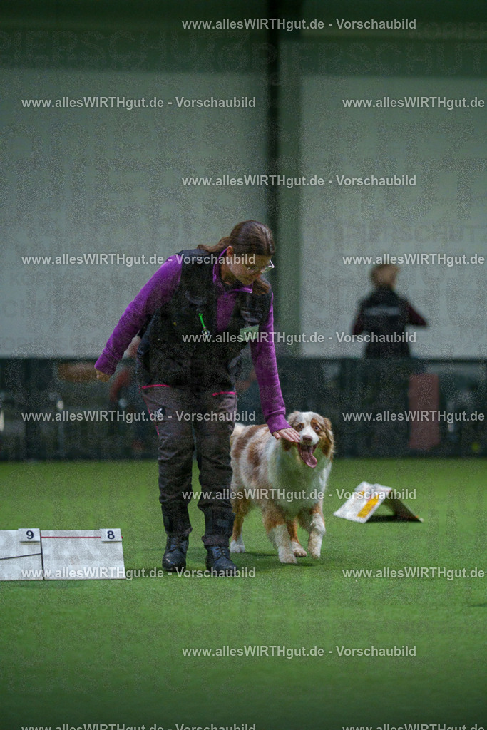 7R503896 | Professionelle Tierfotografie in Mönchengladbach von Daniel Wirth (allesWIRTHgut). Liebevolle & natürliche Bilder von Hunden & Katzen für unvergessliche Erinnerungen.