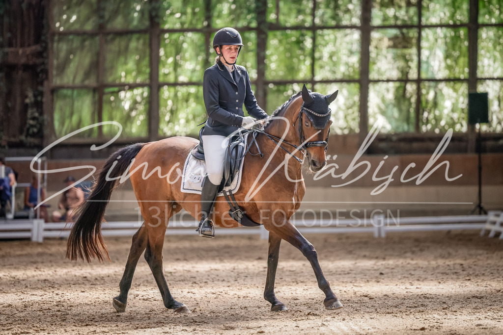 20250621-_3LI0141 | Tierfotografie Pferde, Hunde, Katzen, Haustiere.
Turnierfotografie Reitturniere, Reiten, Springreiten, Dressur in Hanau, dem Main-Kinzig-Kreis und dem Rhein-Main- Gebiet um Frankfurt
