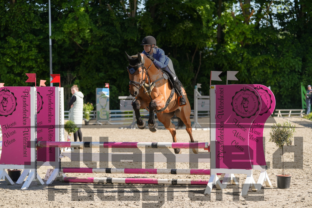 DSC02026 | Julian Held Fotografie - Realisiert mit Pictrs.com