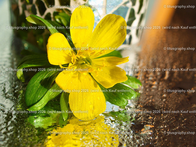 titusgraphy_P3034787-vz-ln - Kopie | titusgraphy-shop: Geschenkideen mit Qualitätsfotos. titusgraphy-shop: gift ideas with quality photos. titusgraphy-shop: idées cadeaux avec photos de qualité.  - Realisiert mit Pictrs.com