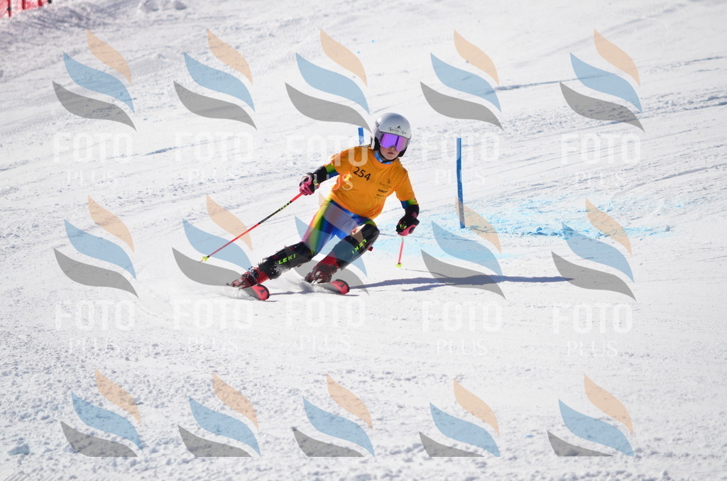 C8459 | holidayphoto