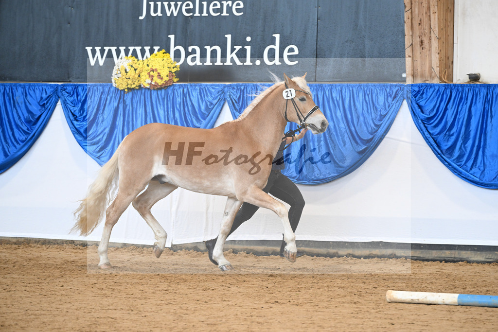 Kat-Nr. 21 nn v. Barion_Stecher_48251004 | hf-fotografie - Realisiert mit Pictrs.com