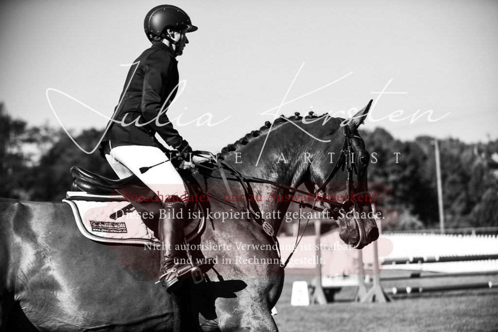 DSC_2252 | Pferde- und Turnierfotografie in Westsachsen. Pferdeportraits, Auftragszeichnungen und intuitive Kunst.