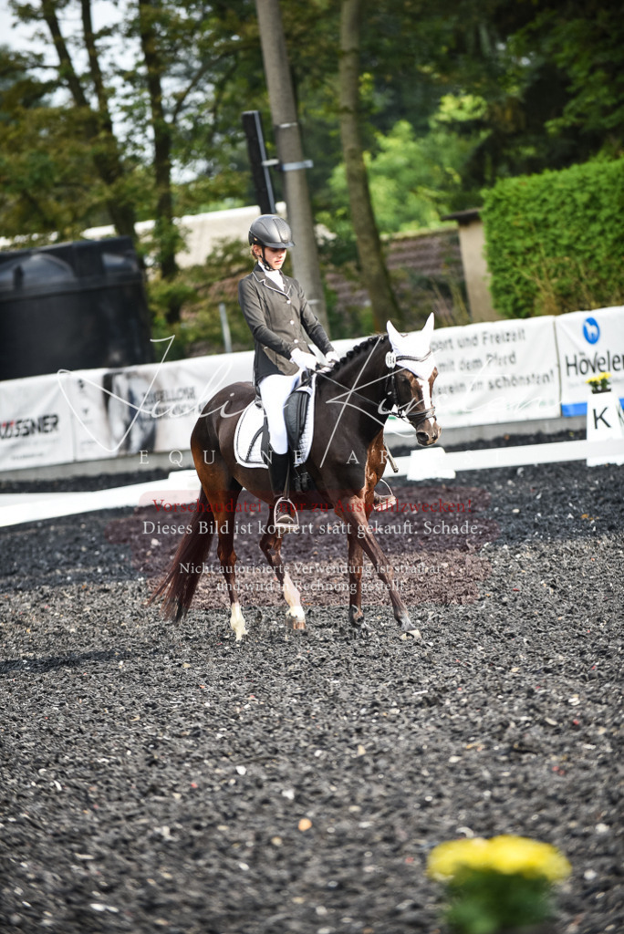 DSC_3415 | Pferde- und Turnierfotografie in Westsachsen. Pferdeportraits, Auftragszeichnungen und intuitive Kunst.