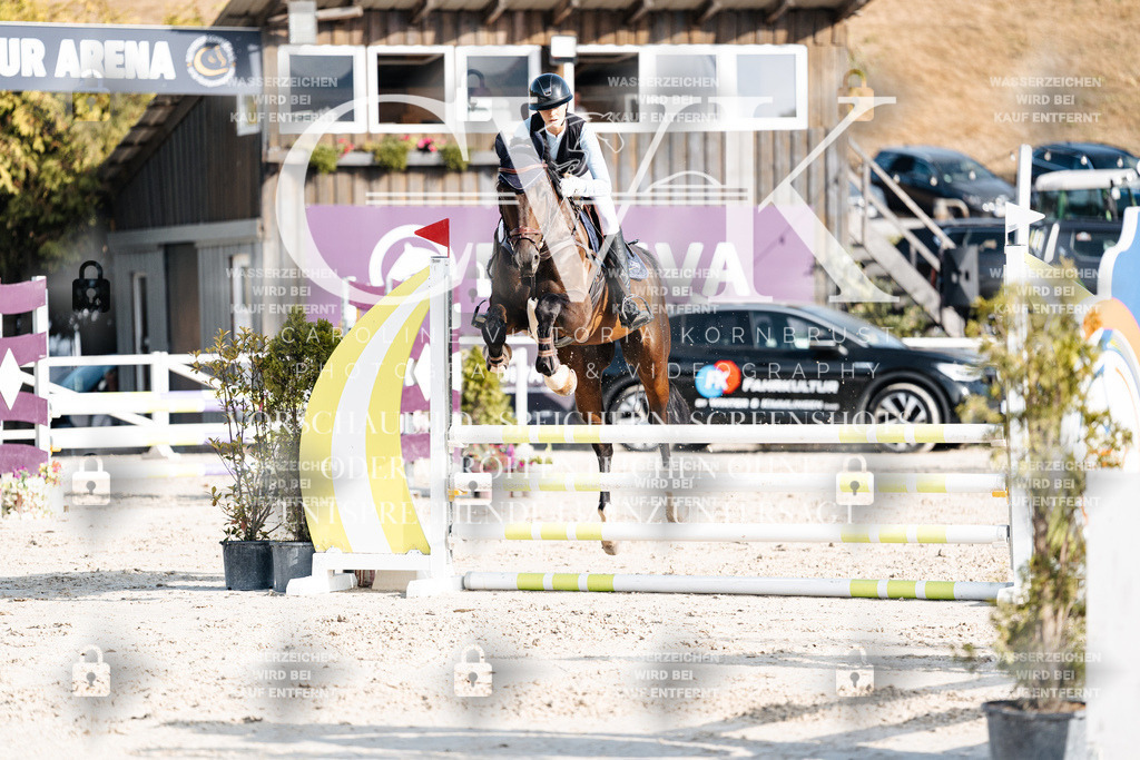 CK909554 | Turnierfotografie Pferdefotografie Trier Rheinland-Pfalz Pferdesport Reitsport Tierfotografie Sportfotografie Pferdevideo Pferdevideografie Equestrianvideography equestrianphotography  - Realisiert mit Pictrs.com