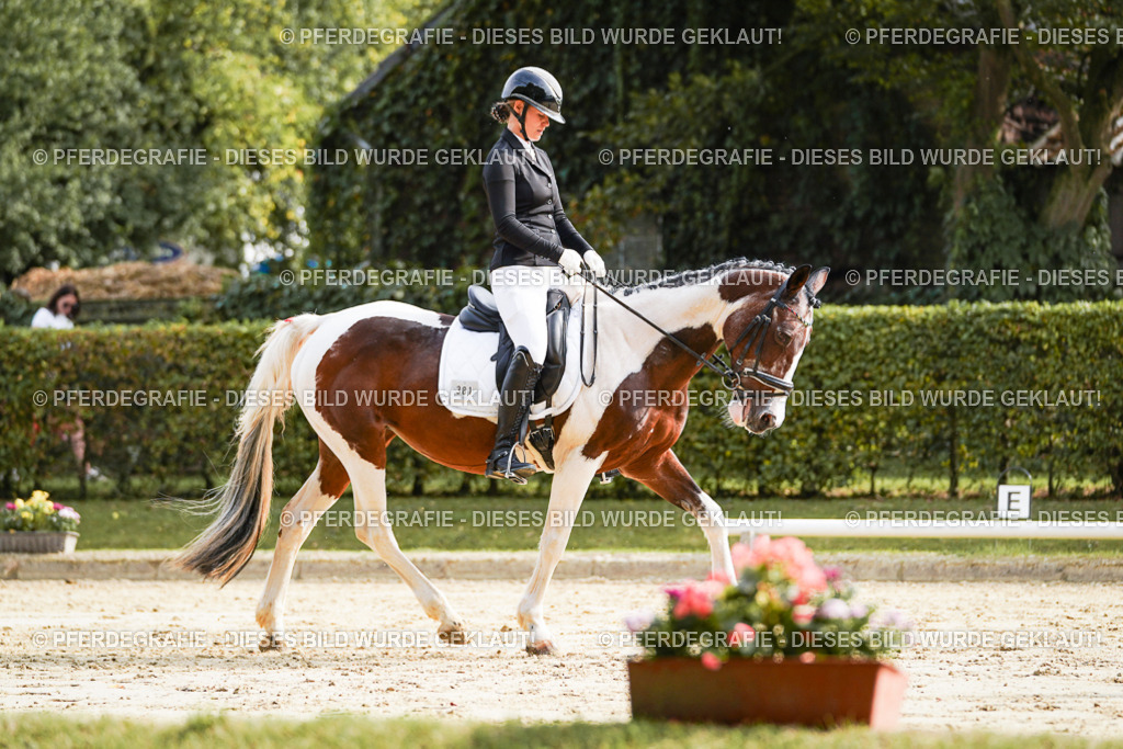 DSC04245 | Pferdegrafie