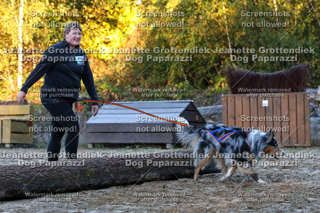 Dog Paparazzi - Strongdog 10-25-459 | Dog Paparazzi Jeanette Grottendiek Fotografie & Videografie - Realisiert mit Pictrs.com