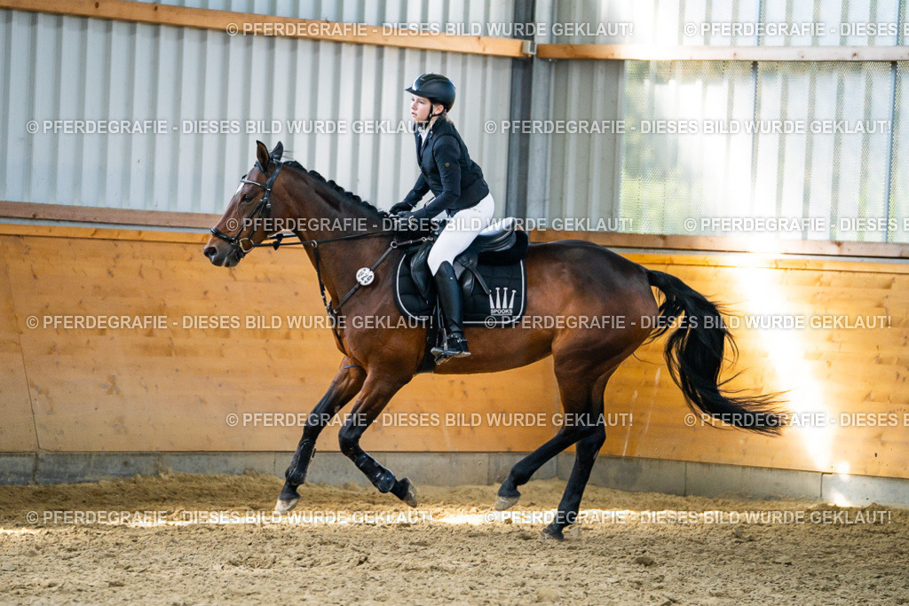 DSC01734 | Pferdegrafie