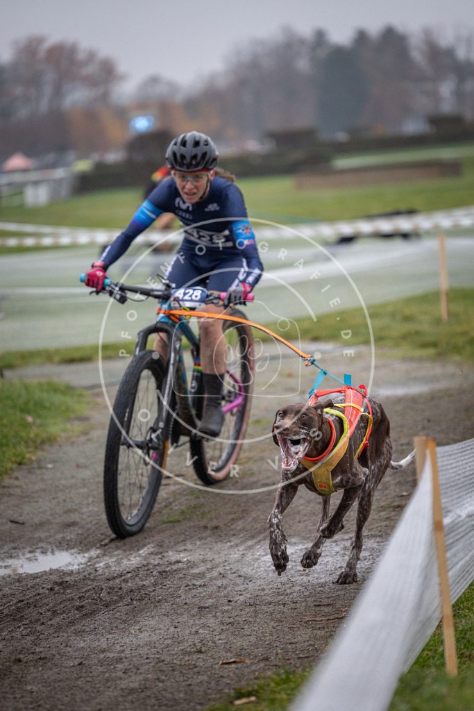 CaniXpix_0L8A1255 | Hundefotografie, Tierfotograf, Pfotenfotografie, Fotoshooting Hund, Hunde Portrait, Hundesport, Hundeportraits, Heideshooting, Hunde, Sportfotograf, Hundefotograf, Turnierhundsport, THS,  - Realisiert mit Pictrs.com