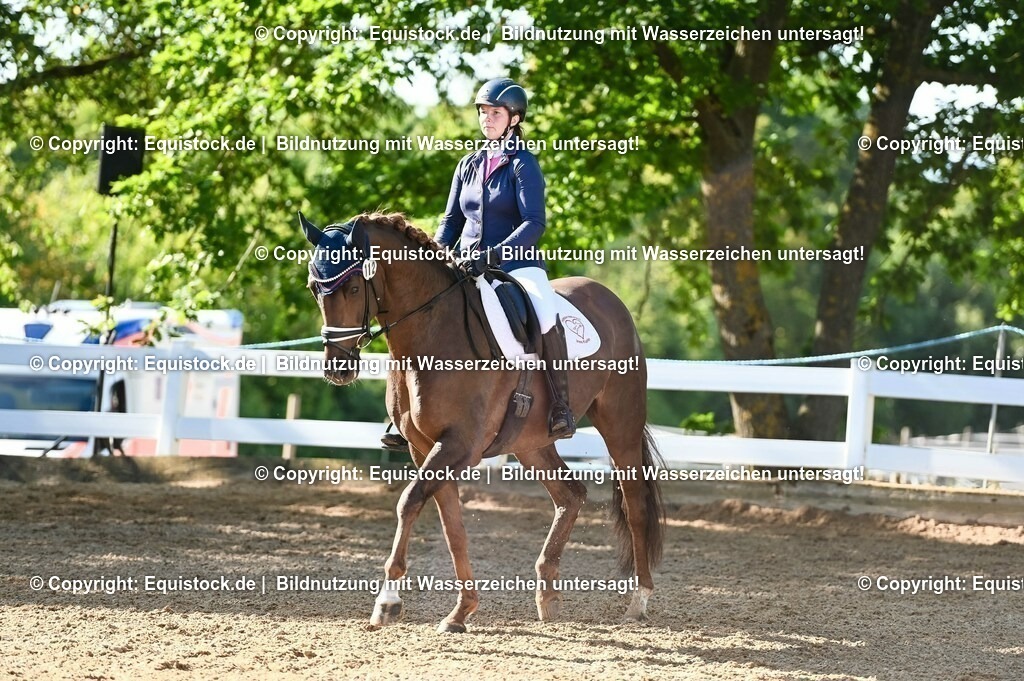 20230715_06_Dressurpferdeprfg. Kl.A_0159 | equistock